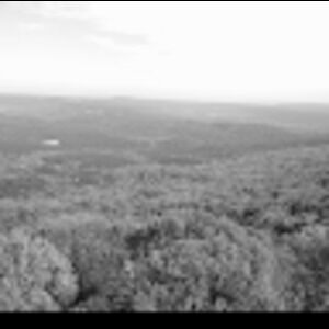 Meet your Posher, Nathan